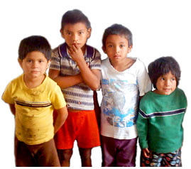 Telemaratones